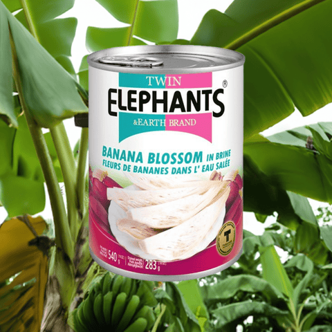 Banana Blossom in Brine 540g (Twin Elephant) - Filipino Grocery Store