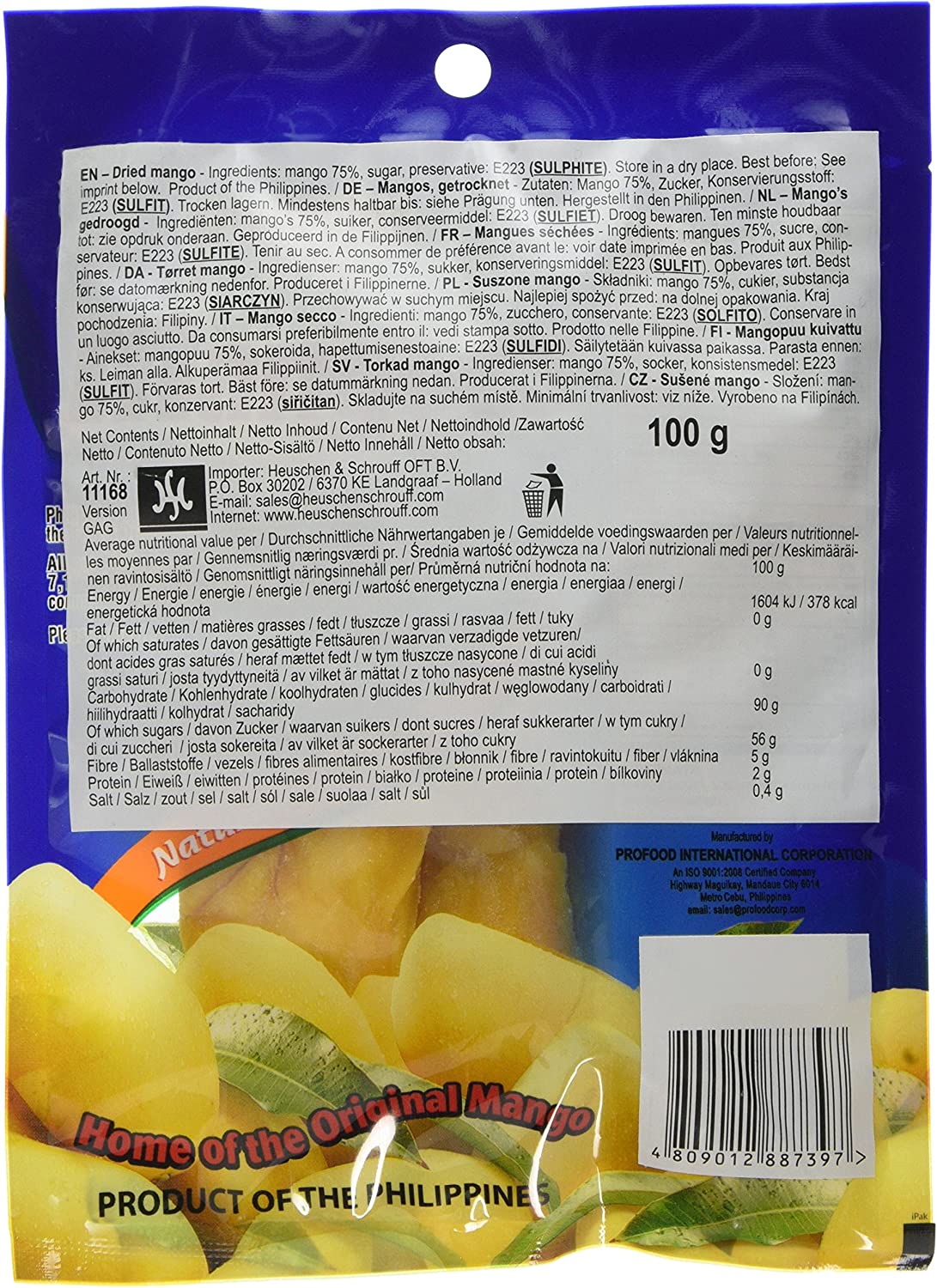Dried Mangoes 100g (Philippine Brand) - Filipino Grocery Store