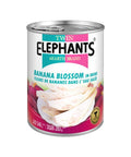 Banana Blossom in Brine 540g (Twin Elephant) - Filipino Grocery Store