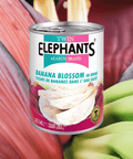 Banana Blossom in Brine 540g (Twin Elephant) - Filipino Grocery Store