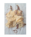 Dried Glassy squid 100g (Asean Seas) - Filipino Grocery Store
