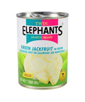 Green Jackfruit in Brine 540g. (Twin Elephant) - Filipino Grocery Store
