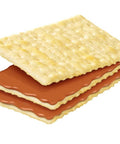 Sandwich Peanut Butter 10 x 32g (Rebisco) - Filipino Grocery Store