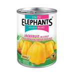 Yellow Jackfruit in Syrup 565g. (Twin Elephant) - Filipino Grocery Store